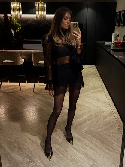 Black Sheer Lace Turtleneck Mini Dress Long Sleeve A-Line