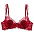 Lace Bra for Women Intimates Casual